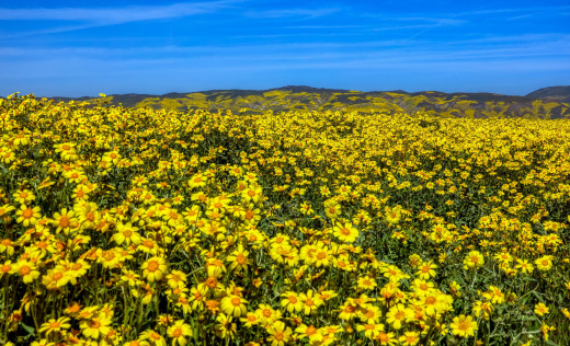 1455420 (a): :2560x1553